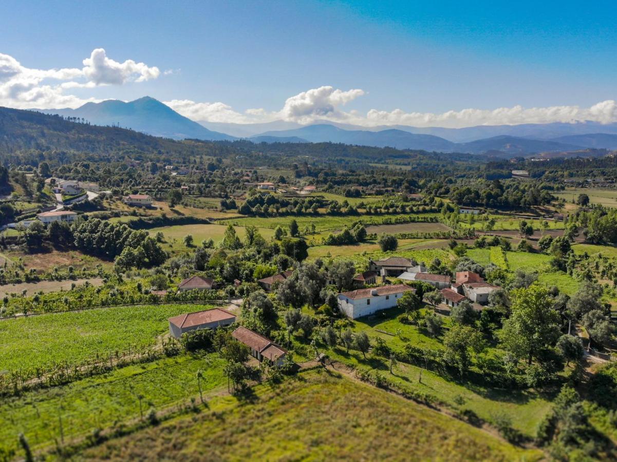 Casa Lavoura Em Requeixo Pension Celorico De Basto Buitenkant foto