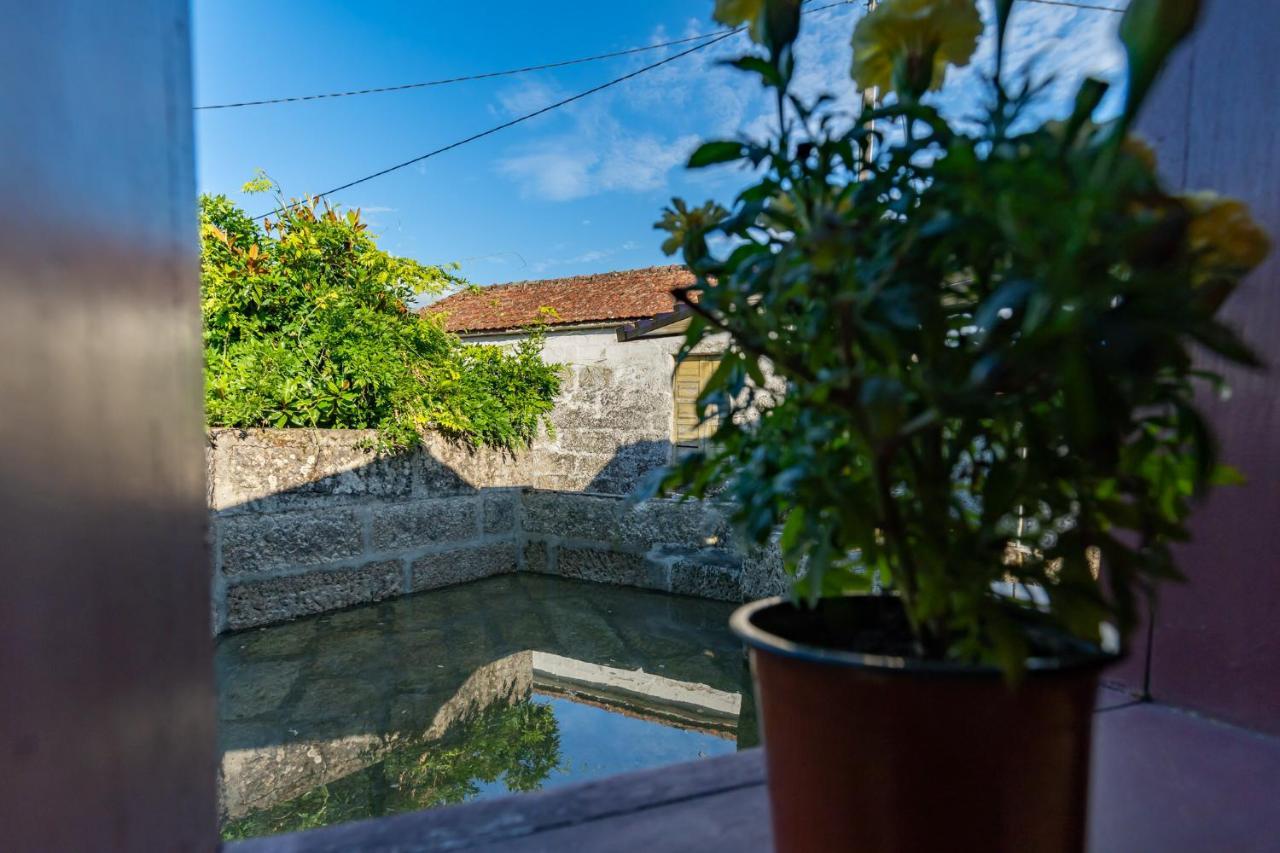 Casa Lavoura Em Requeixo Pension Celorico De Basto Buitenkant foto