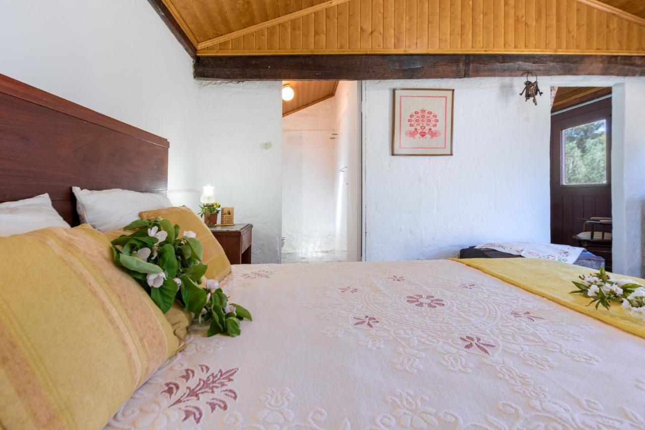 Casa Lavoura Em Requeixo Pension Celorico De Basto Buitenkant foto