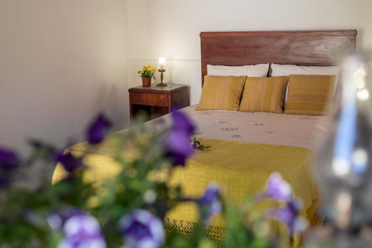 Casa Lavoura Em Requeixo Pension Celorico De Basto Buitenkant foto