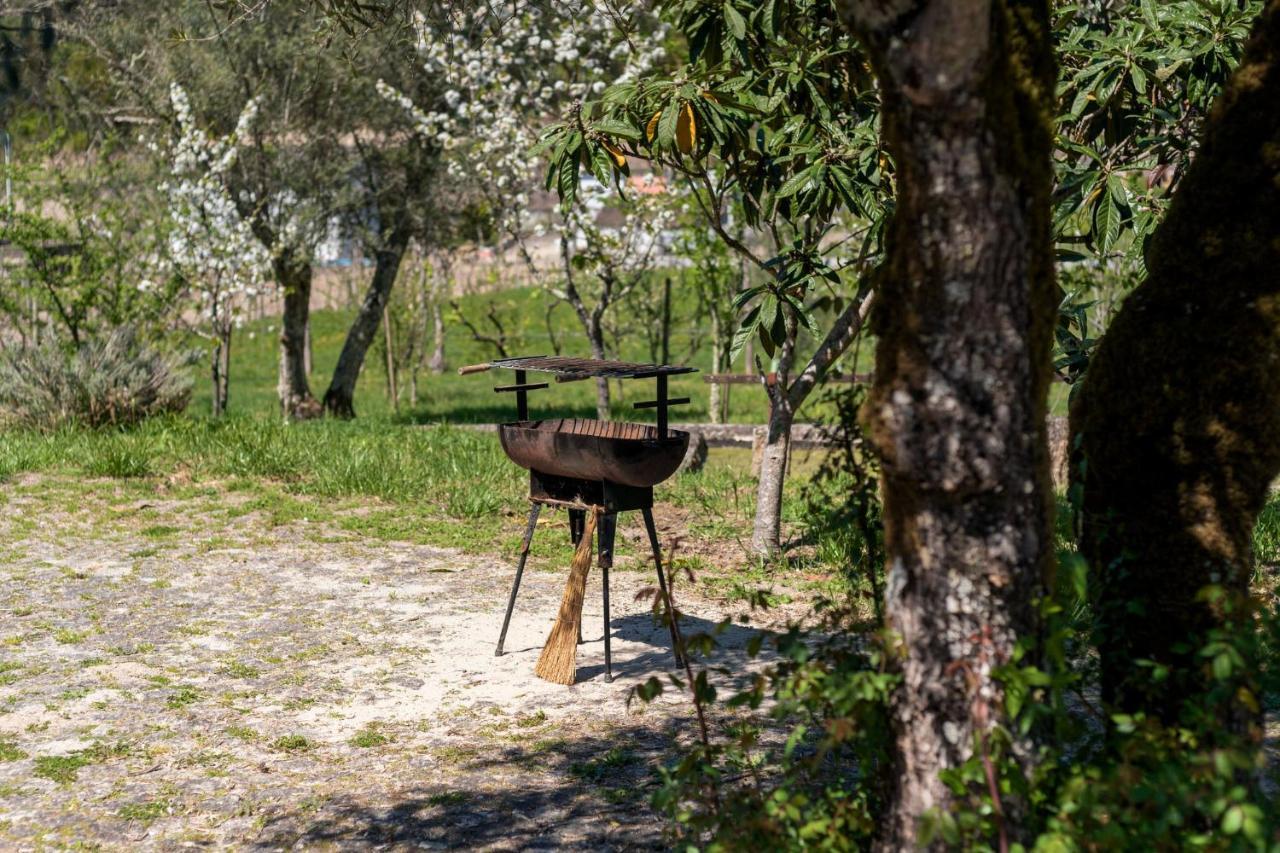 Casa Lavoura Em Requeixo Pension Celorico De Basto Buitenkant foto