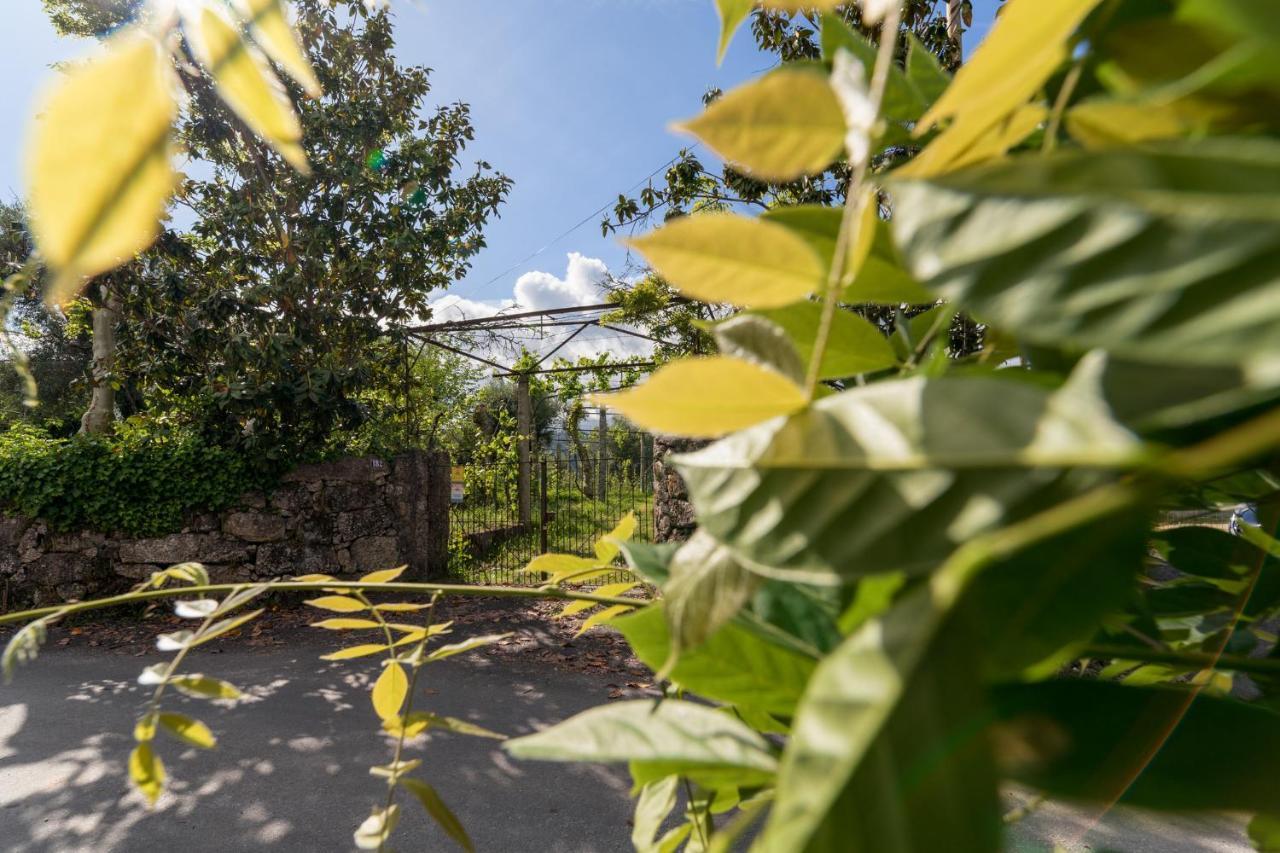 Casa Lavoura Em Requeixo Pension Celorico De Basto Buitenkant foto