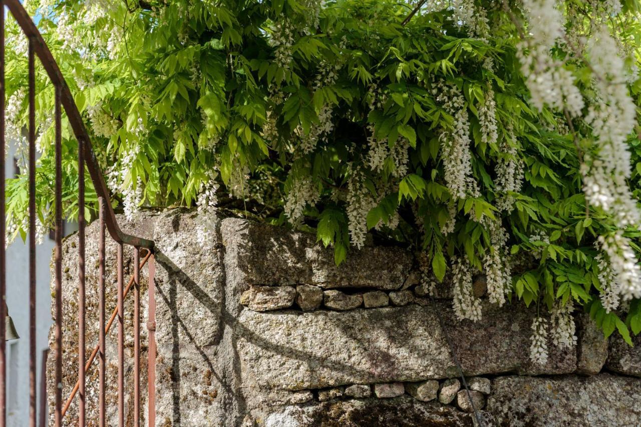 Casa Lavoura Em Requeixo Pension Celorico De Basto Buitenkant foto